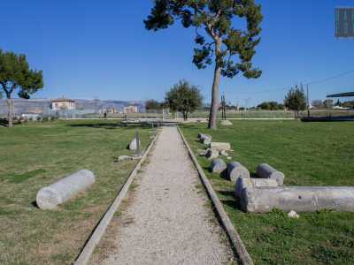...oltre ad alcune colonne...